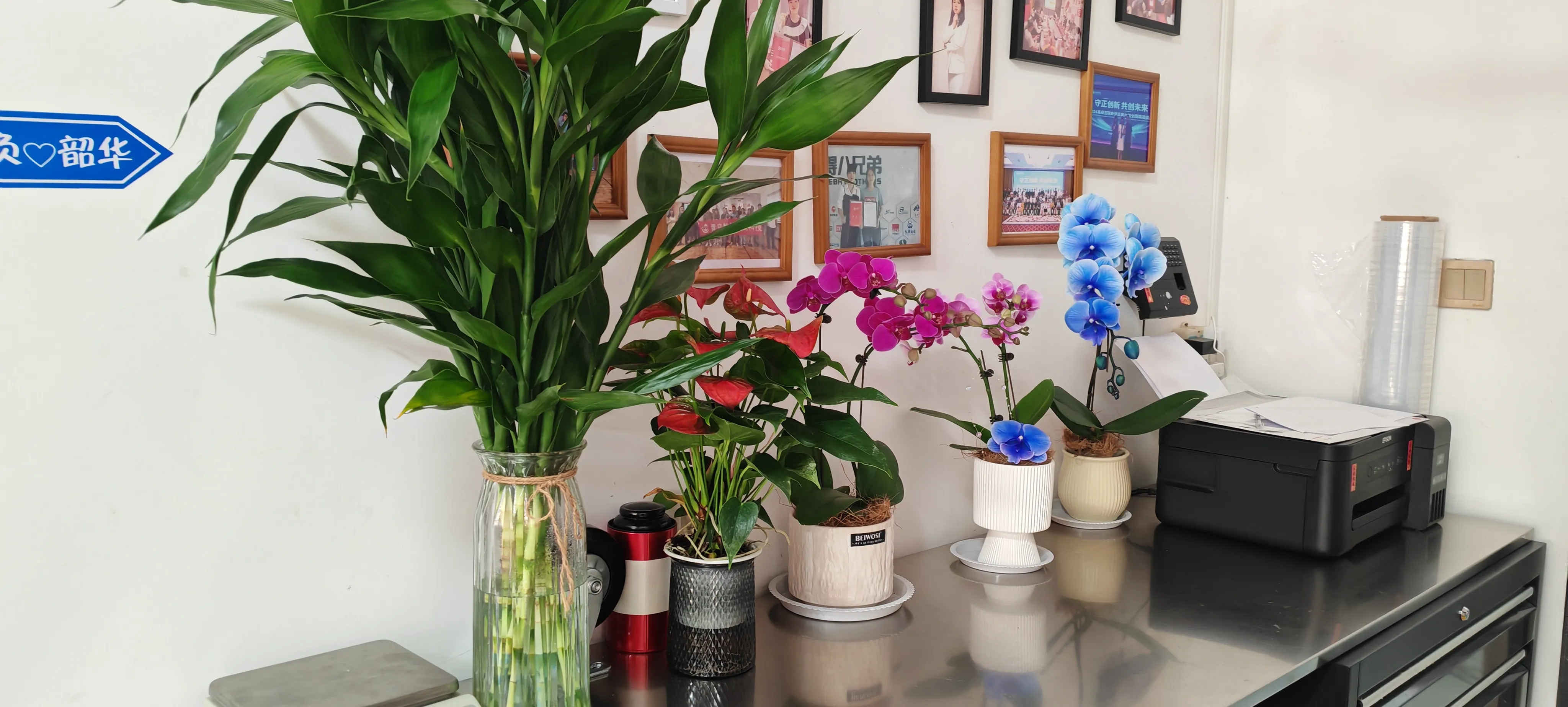 Jojo Pack жаңа достарына қош келдіңіз!