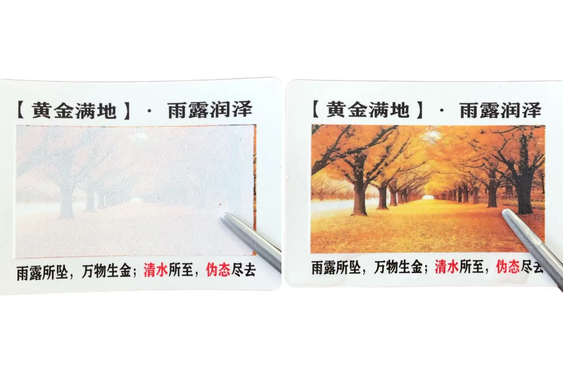 Түсті өзгертуге байланысты суға сезімтал белгілерді білесіз бе?