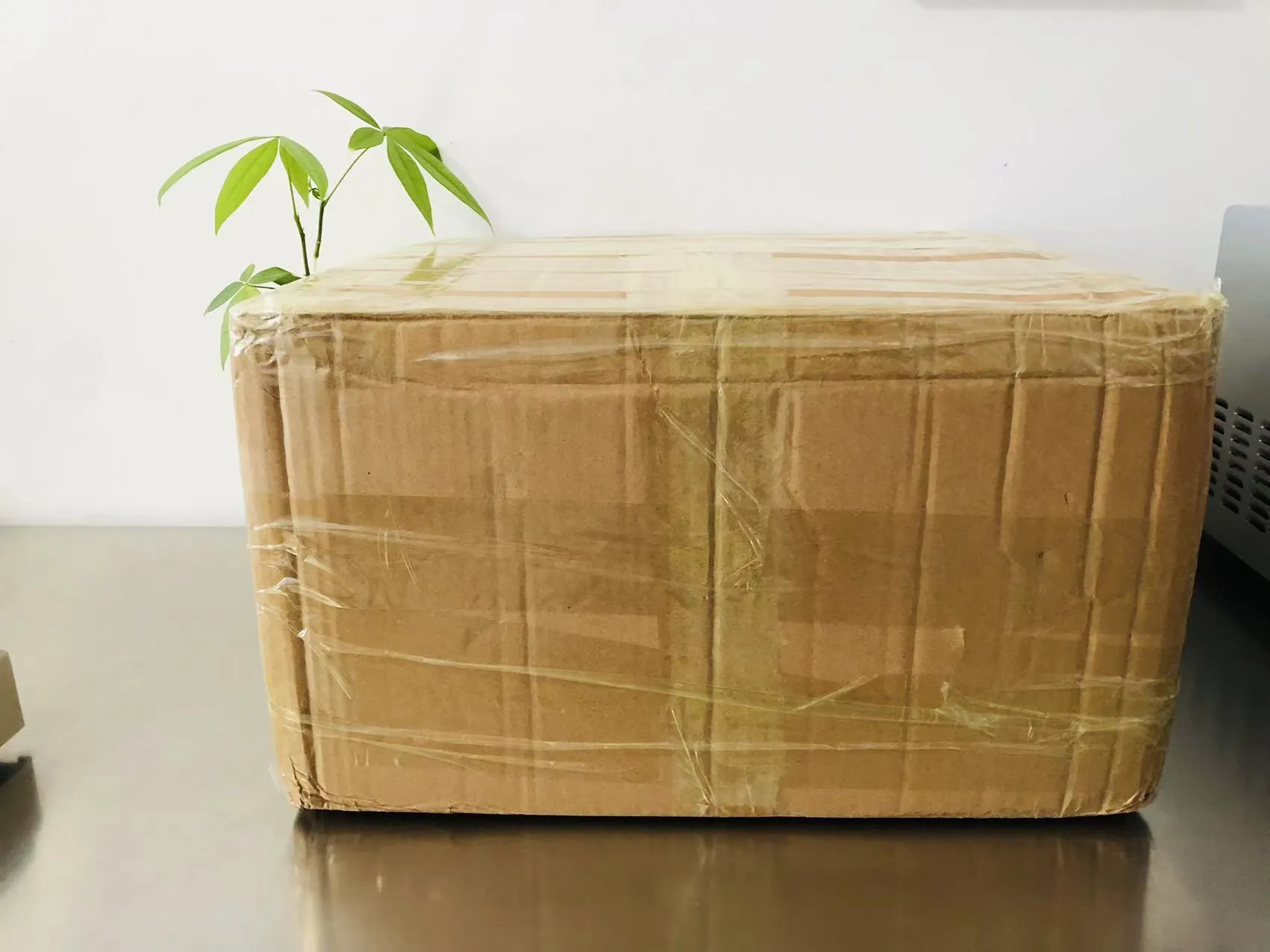 Мультфильмнің қатты эпоксидті стикерлері қазір Жапонияға барар жолда